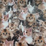 Tecido Plastificado canvas cute cats